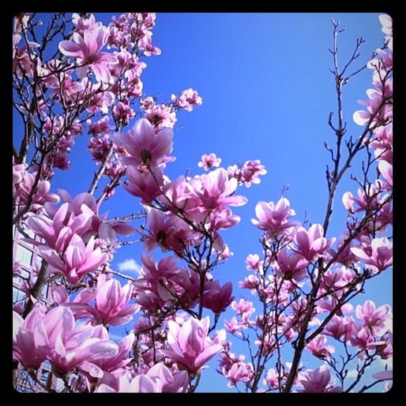 Meet your Posher, J - Picture 1 of 1